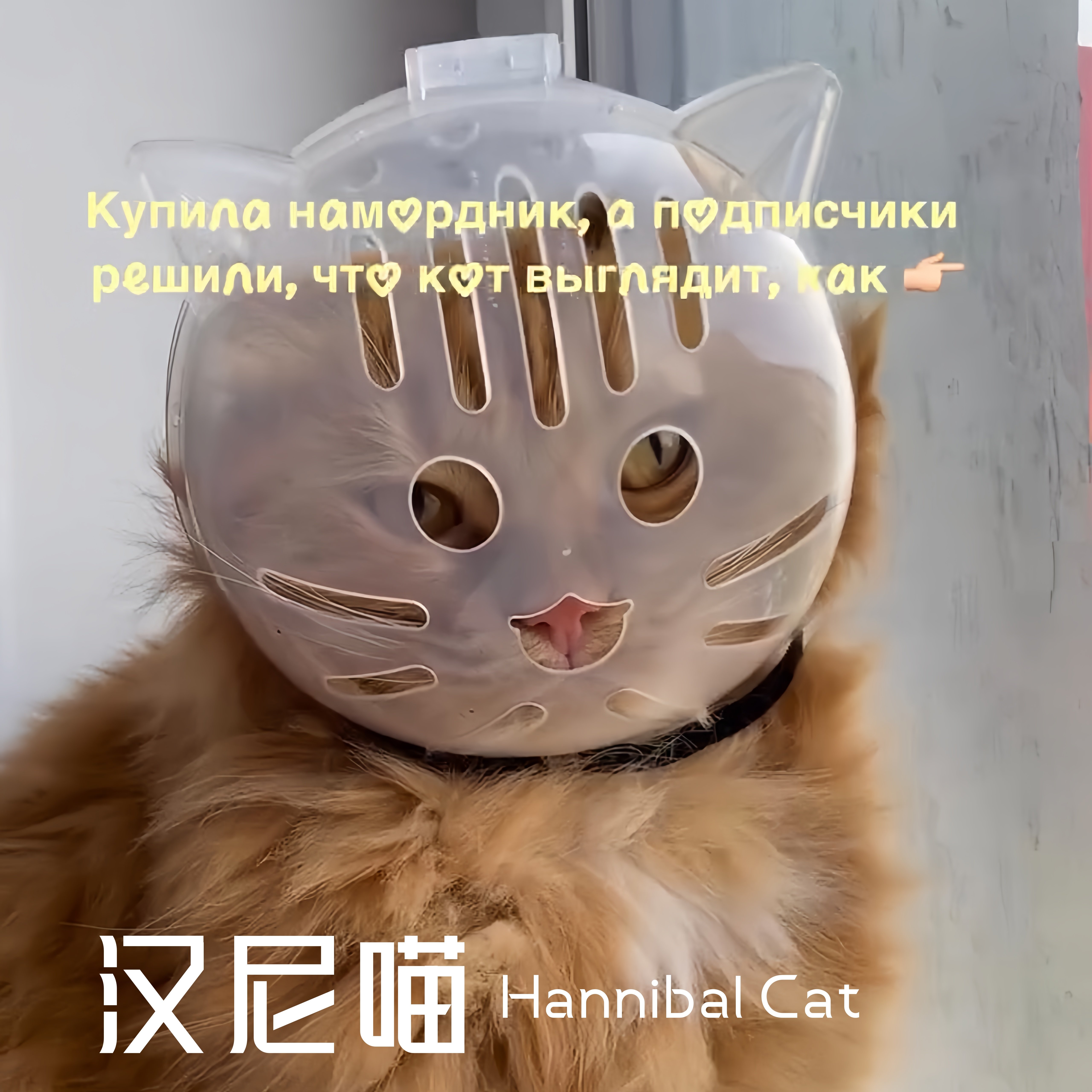 汉尼拔猫咪嘴套透气防咬透明搞怪猫头面罩洗澡美容防抓宠物猫口罩