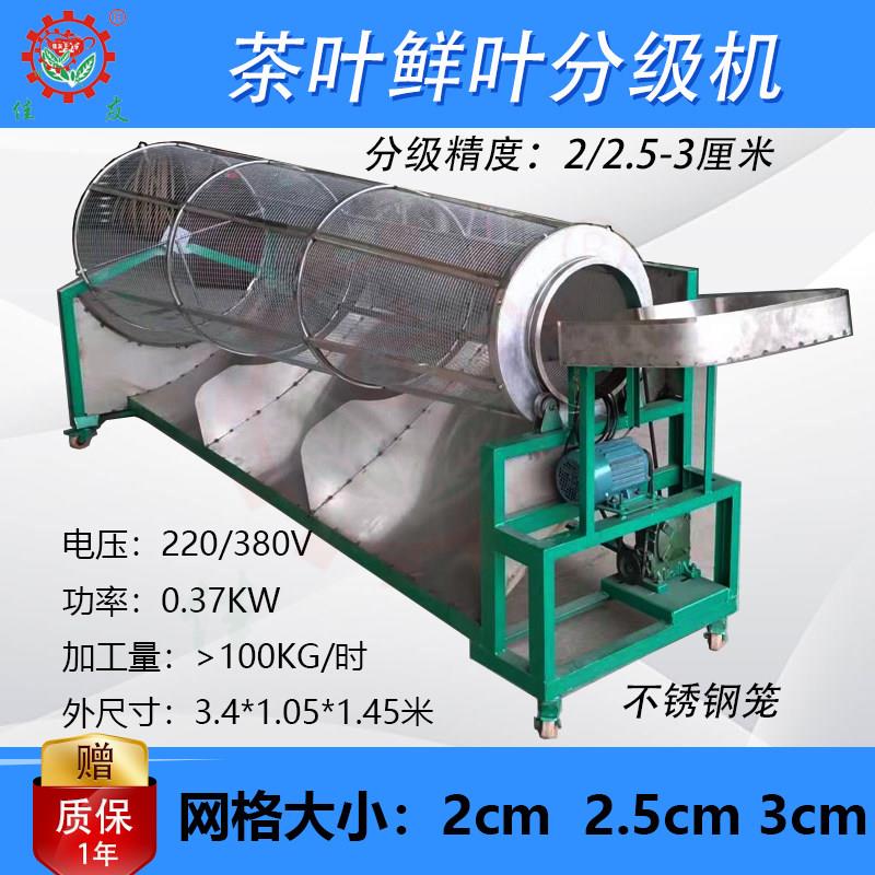 大叶茶古树茶茶叶鲜叶分级机筛茶机一芽一叶一芽二叶鲜叶筛选机