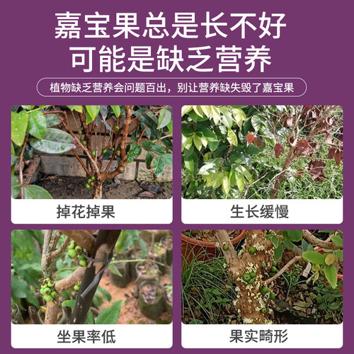 嘉宝果营养液嘉宝果专用肥料四季通用加宝果有机肥保花保果树肥
