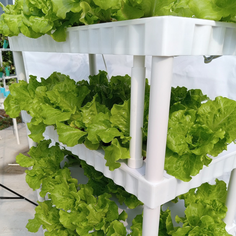 5层带灯智能种菜机设备 室内无土栽培种菜架 多层蔬菜种植花盆简