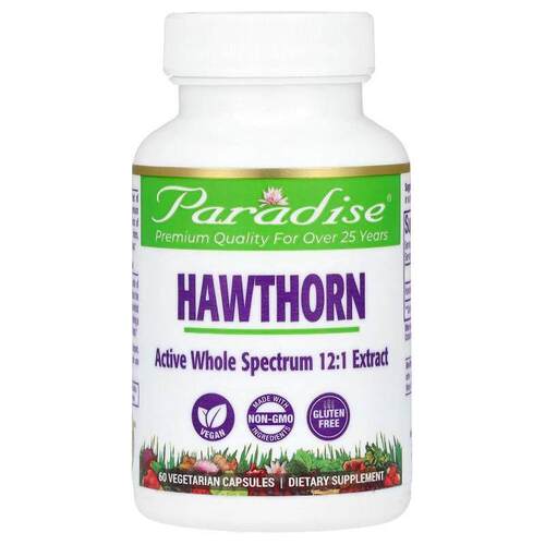 Paradise Herbs,山楂，250 毫克，60 粒素食胶囊