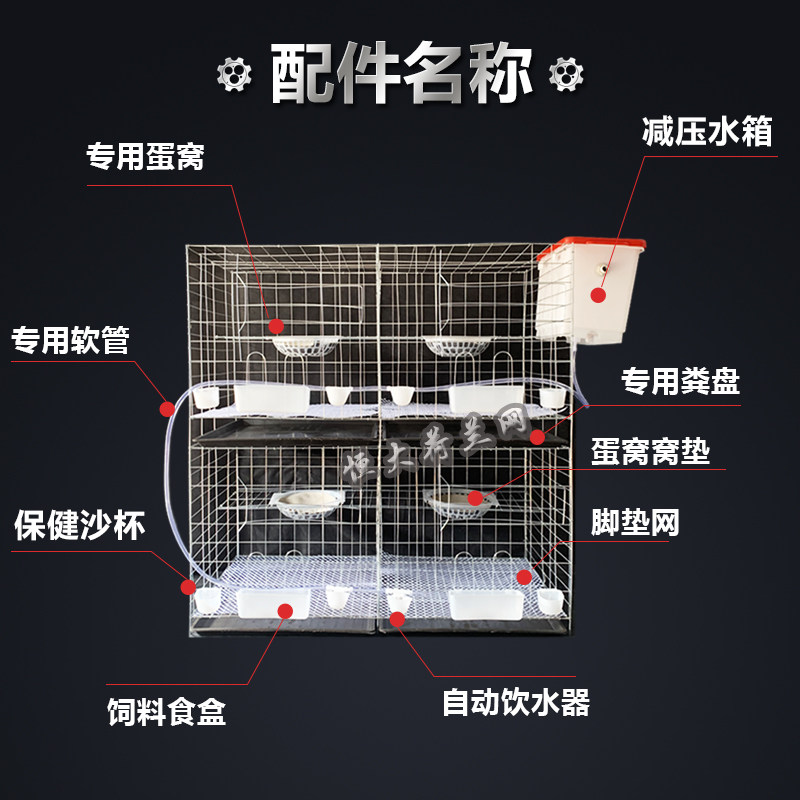 鸽子笼家用大号养殖笼繁殖笼配对笼巢箱鸽舍鸽棚元宝专用笼子鸽笼图片