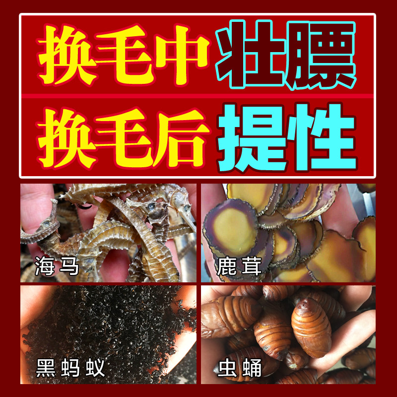 斗雀王 提性壮膘饲料打彩饲料 手工画眉鸟食饲料斗鸟料 唱鸟饲料