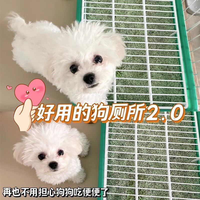 宠物狗训导狗厕所平板抽屉式便便器小型犬笼内防外溅打翻尿盆屎盆