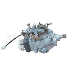 专业销售发动机喷油泵VE泵总成22100-1C240 221001C240