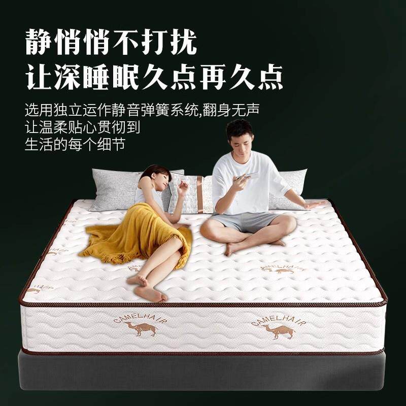 席梦思弹簧床垫经济型软硬两用20cm厚1.5米1.8m乳胶床垫租房家用