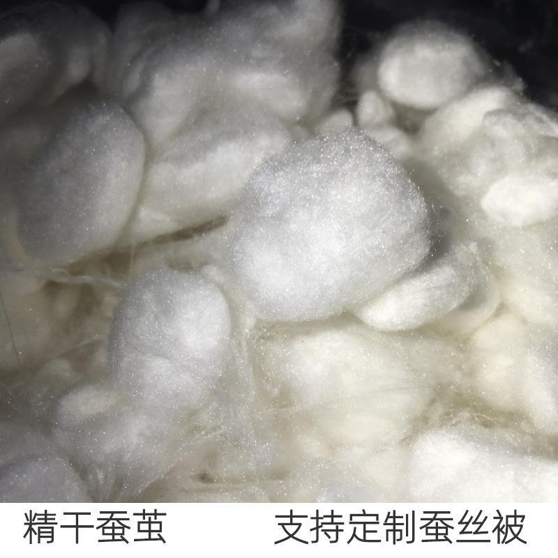 桑蚕精干蚕茧原料厂家开茧机抽丝机用柞蚕丝精干茧蚕丝被裸胎