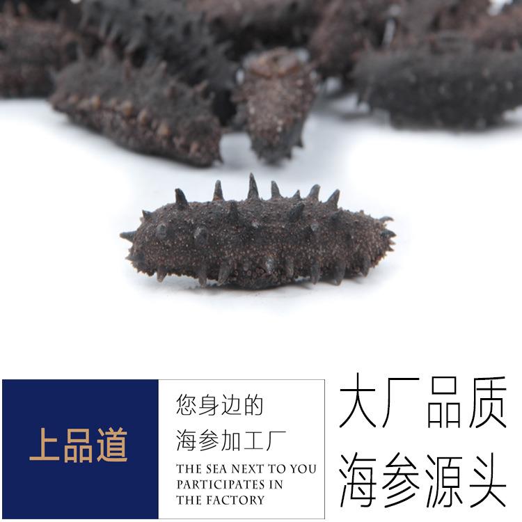 【海参工厂】淡干海参辽刺参干货厂家直供50g天然