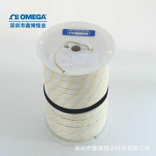 SLE 200 高温奥米佳热电偶XC4 1000