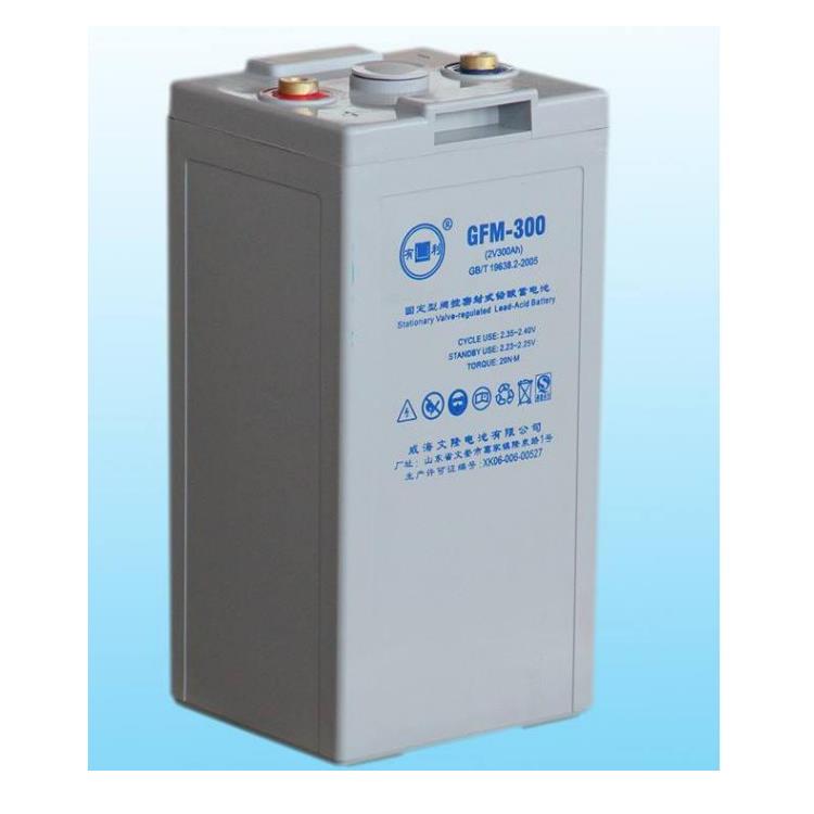 YOULI蓄电池GFM-1000机房铅酸免维护储能应急电源2V蓄电池