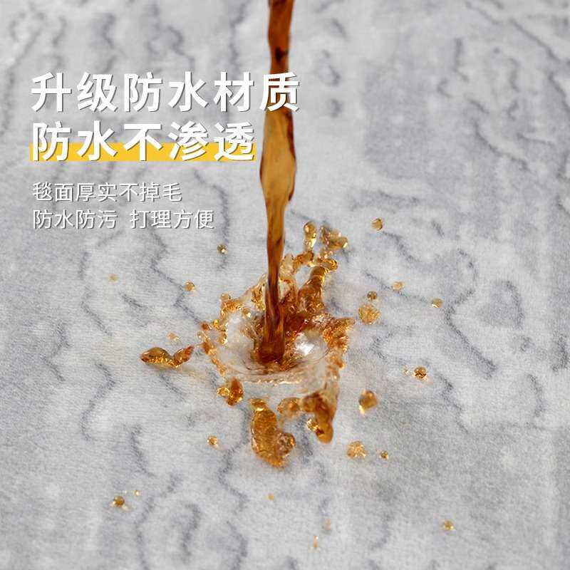 防水地毯卧室客厅2026新款大面积全铺免洗可擦免打理地垫轻奢高级