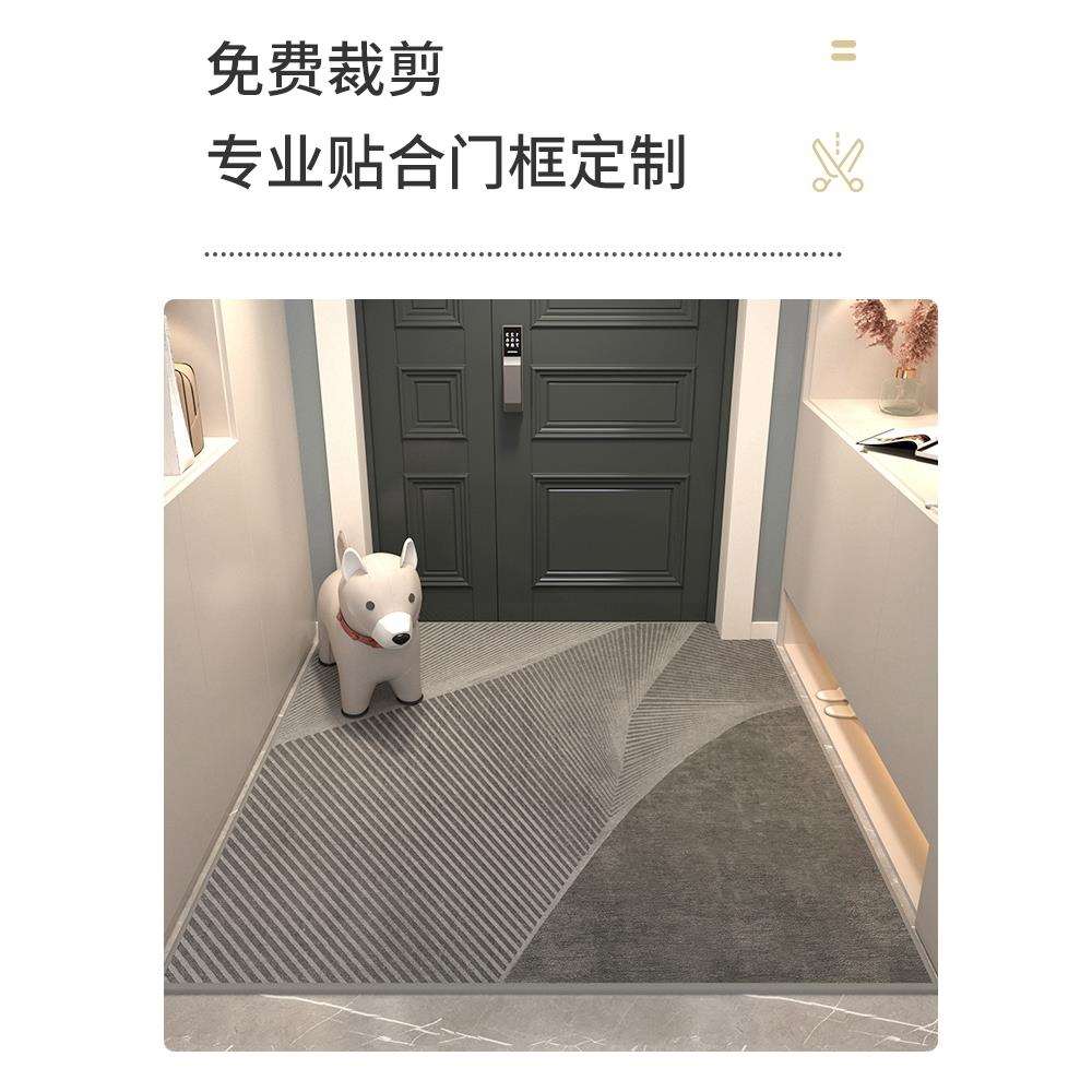入户门地垫家用地毯门垫进门新款轻奢高级门口脚垫玄关垫子可裁剪