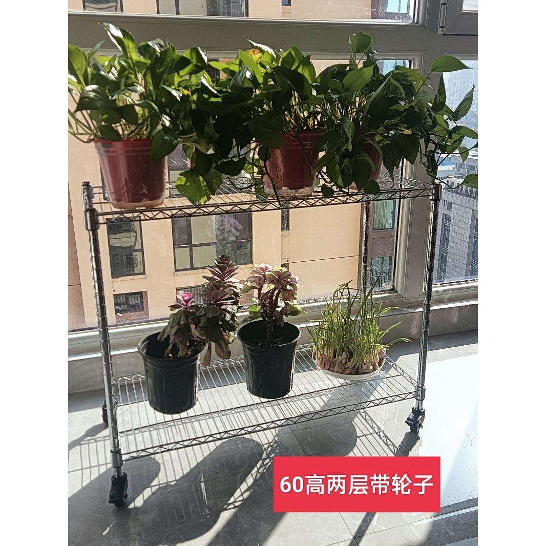 网格花架带轮子兰专用花架移动阳台兰花架多肉盆景层架带轱辘