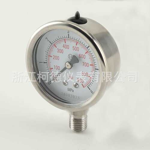 柯德仪表 不锈钢Y-60BF型 压力表