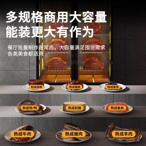 厂家直供精准控温干式牛肉熟成牛排西餐烤肉火腿低肉质损耗排酸柜