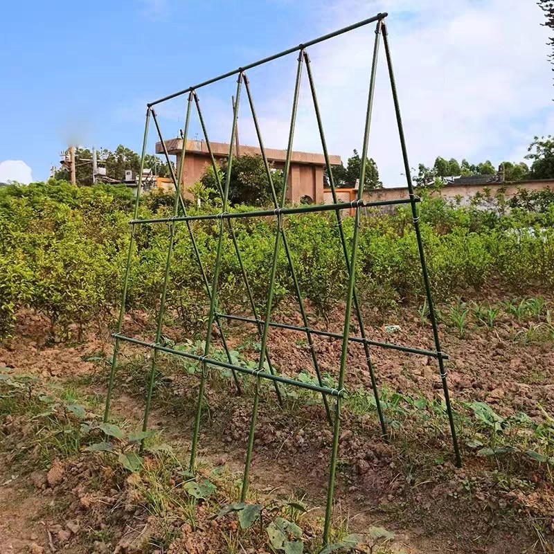 黄瓜爬藤架四季豆角架杆蔬菜棚西红柿架种菜农用拱棚搭架子种植图片
