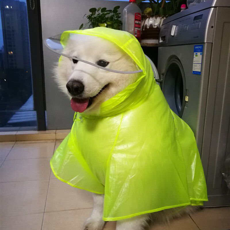 半透明宠物雨衣适用大中小型犬 带帽防水雨披轻薄透气