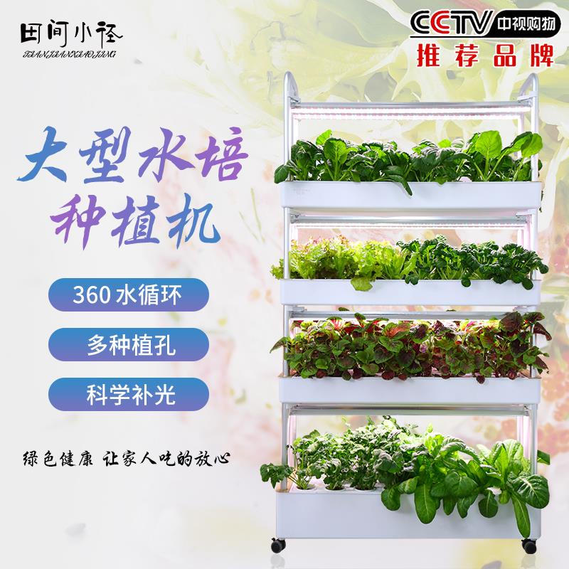 智能水培种植机适用于室内水培蔬菜设备 大型无土栽培种植柜 家庭