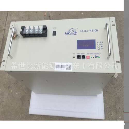 LEOCH理士磷酸铁锂蓄电池LFeLi-48100 48V100AH太阳能光伏储能