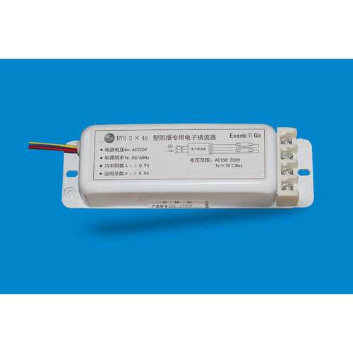 防爆日光镇流器 电子一拖二 全塑日光灯镇流器CDZ218LY10 YK40E