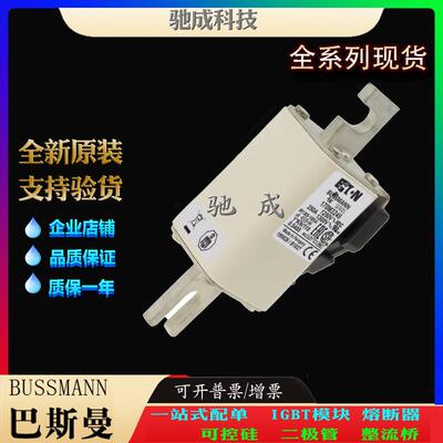 巴斯曼170M3244 170M3245 170M3246 销售供应直销价优 特种保险丝