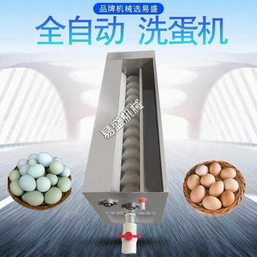 小型全自动不锈钢洗蛋机洗蛋神器鸡蛋鸭蛋盐蛋咸蛋泥包鹅蛋清洗机