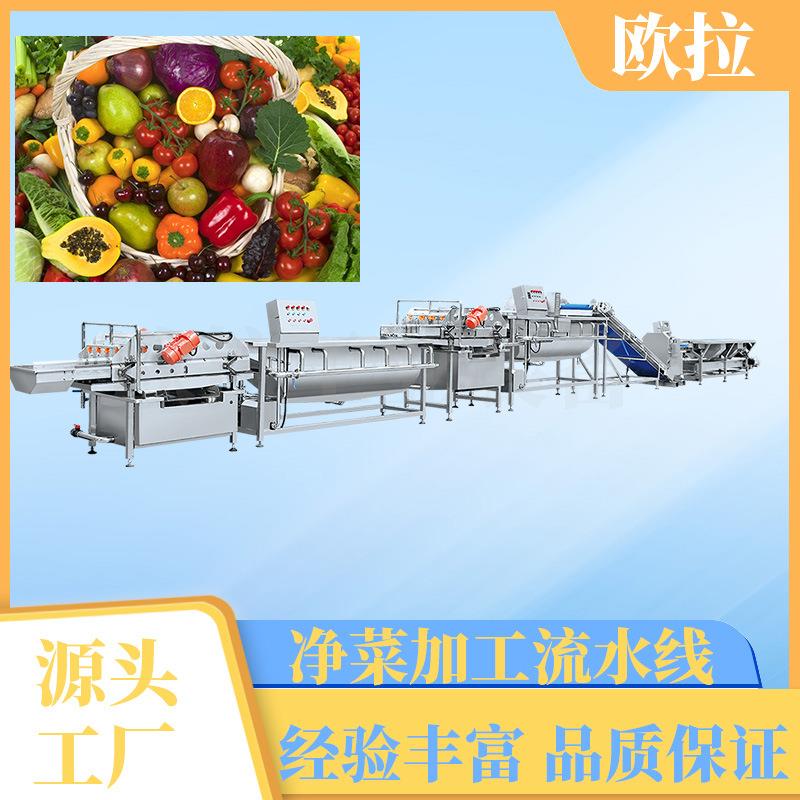 全自动洗菜机 农产品加工气泡清洗机 茄子辣椒根茎类蔬菜清洗机器