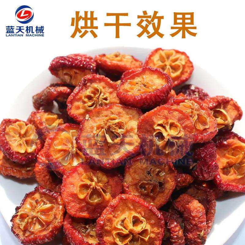 八棱海棠果烘干机 电加热小型海棠果切片烘干箱 海红果干烘干设备