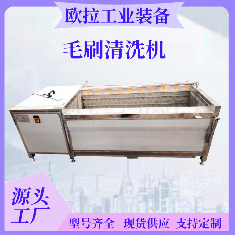 土豆脱皮清洗设备 大姜加工去皮机器 全自动毛辊清洗机