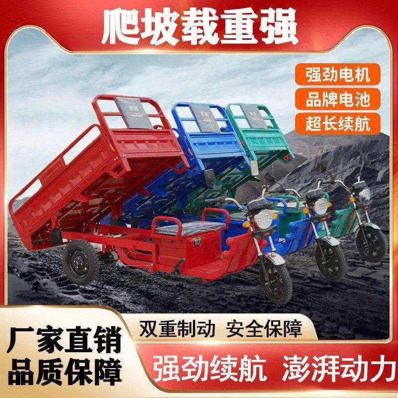 电动三轮车成人三轮车摆摊专用家用货车载货王电瓶加强山区版爬坡