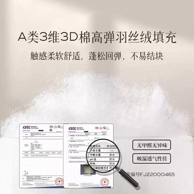 五星级抱枕芯内胆455060客厅沙发靠枕腰枕靠背垫套大号床上靠垫