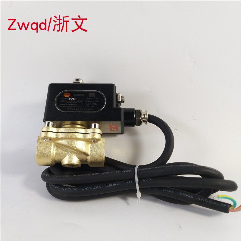 防爆电磁阀2W160-15Z二通铜体防爆疏水阀气阀油阀4分DN15 G1/2