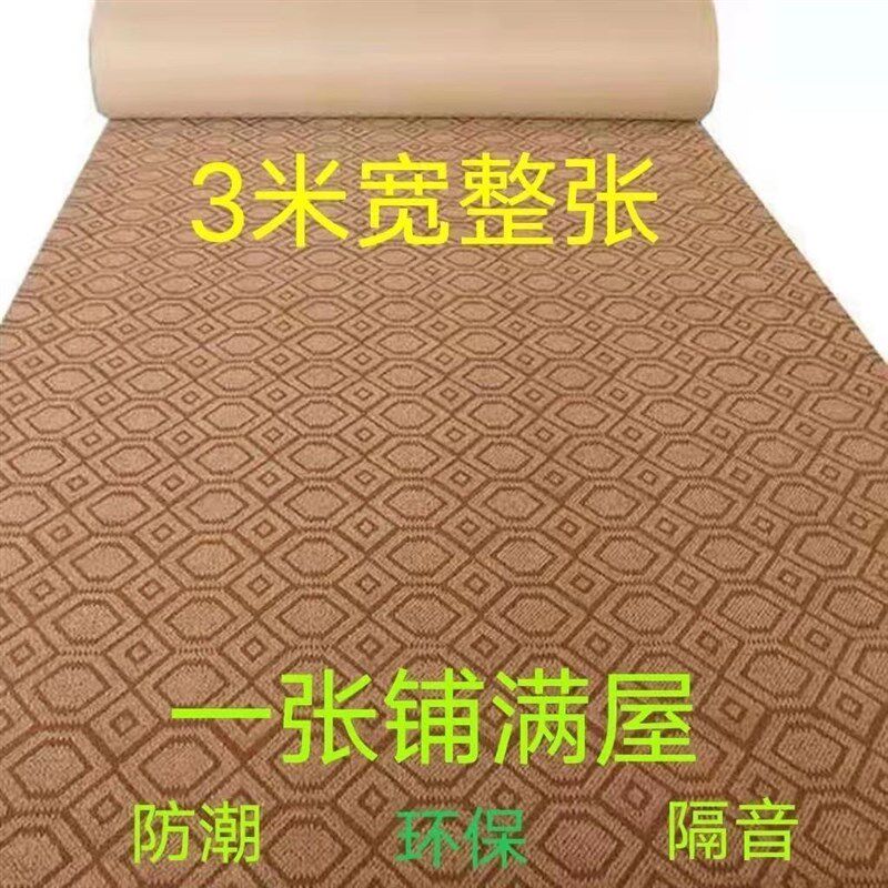 台球地毯专用舞台专用大面积商务办公全铺客厅3米x3米工作室地垫