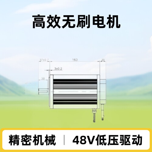 48V2KW低压无刷电机 110型直流无刷电机  DT110BL183-430套装 SX