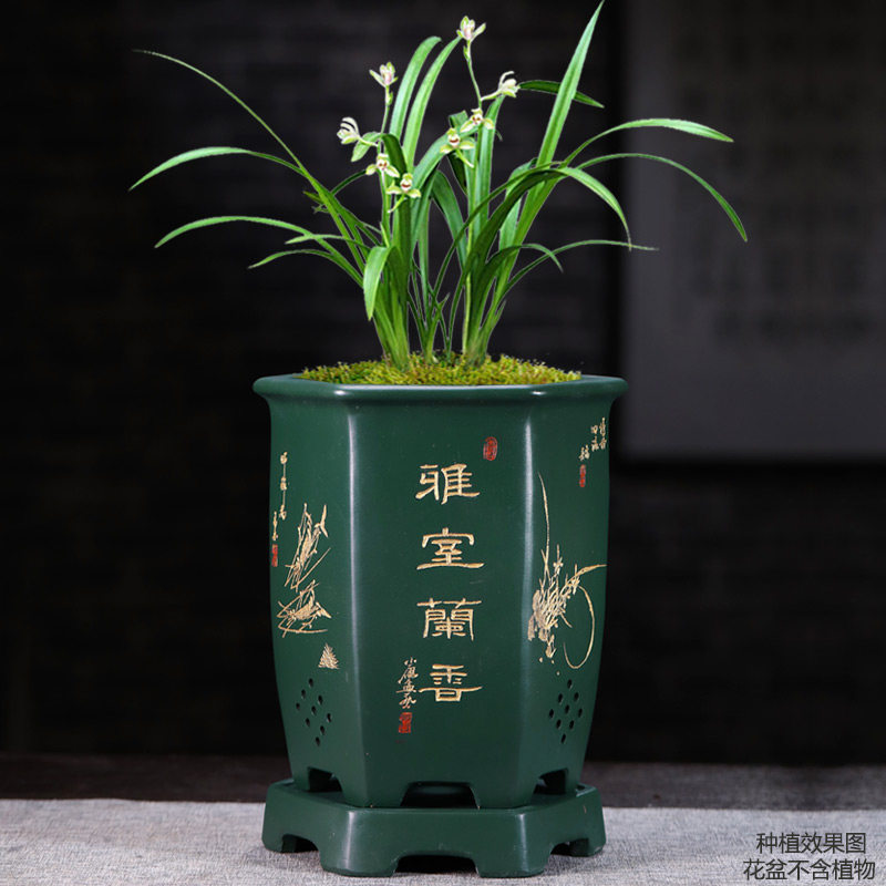 紫砂花盆带底座兰花盆精品花盆君子兰盆有侧孔六方盆室内桌面花盆