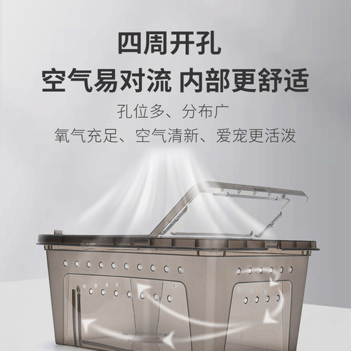 爬宠饲养盒孵化箱乌龟冬眠用品蜘蛛蛇角蛙蜥蜴蜗牛蚕防逃跑过冬盒