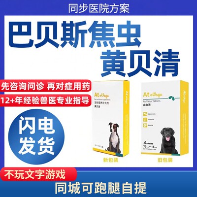 血虫醌清黄贝清狗狗犬宠