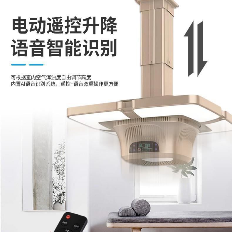 遥控升降外排棋牌室吸烟灯麻将机抽烟机管道直排式麻将空气净化器