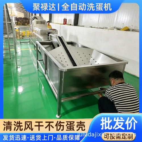 不锈钢蛋类清洗设备 鸡蛋去泥洗蛋机 养殖场鸡蛋清洗光检喷油机