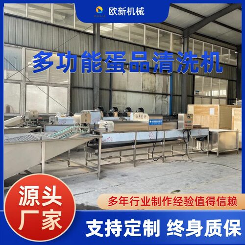 车间全自动洗蛋机鸡蛋咸鸭蛋保洁蛋清洗去泥设备养殖场脏蛋清洗机
