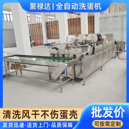 三排洗蛋机 商用大型鸡蛋清洗流水线 多功能不锈钢鸭蛋清洁设备
