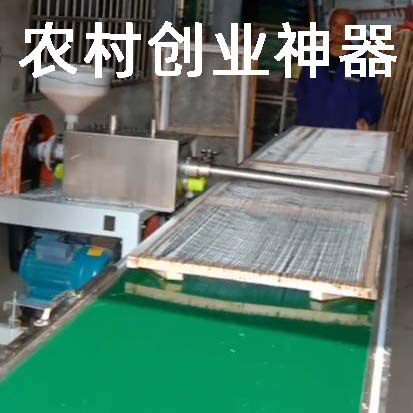 红薯粉条机家用电动 自熟免搓压粉机 土豆淀粉做粉丝粉条小型机器