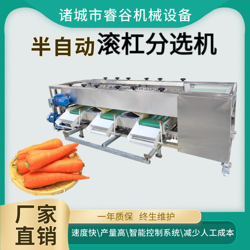 滚杠式山楂大小分拣机商用果蔬分选设备工业不锈钢分选机速度可调