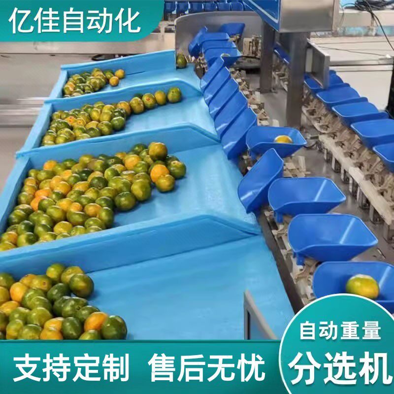 白条鸡重量分选机全自动小龙虾料盒式分拣机大闸蟹螃蟹重量分选机