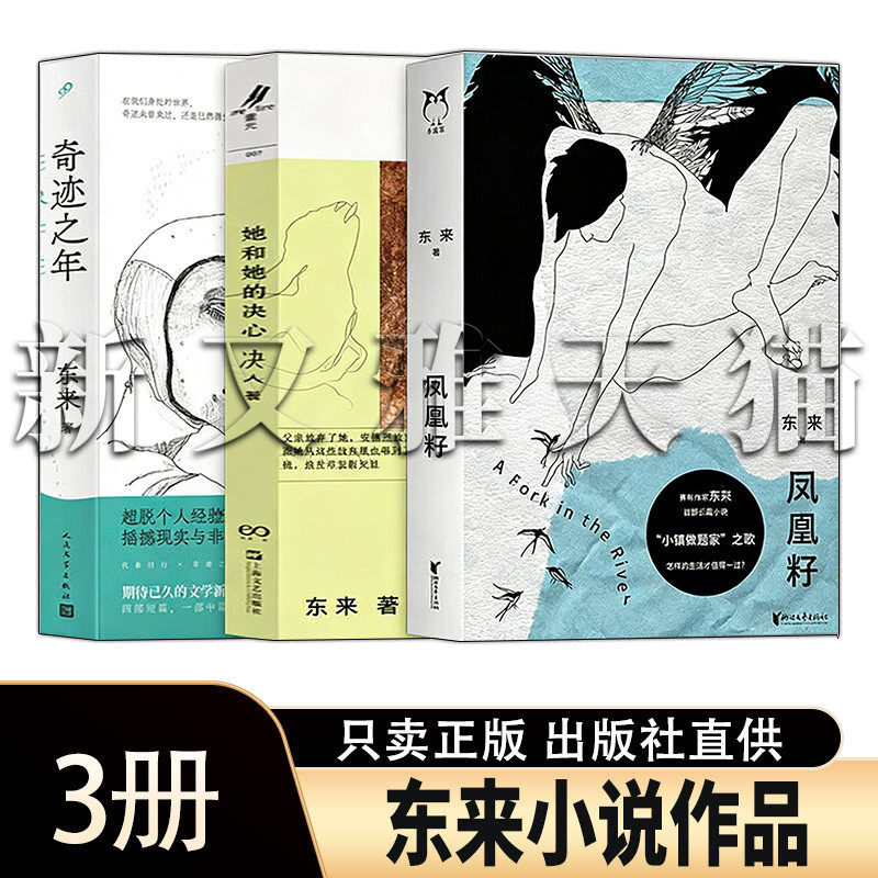 【正版】东来小说作品3册 凤凰籽 她和她的决心 奇迹之年 大河深处 当代青年女性成长必读套装