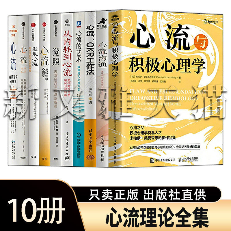 心流理论10册积极心理学全集