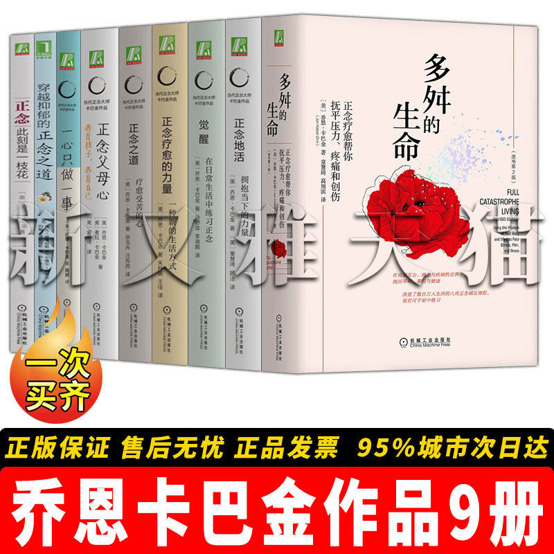 乔恩卡巴金全集9册正念疗愈心理