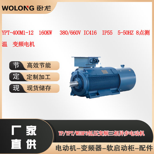 YPT-400M1-12  160KW 380/660V IC416  IP55 5-50HZ低压变频电机