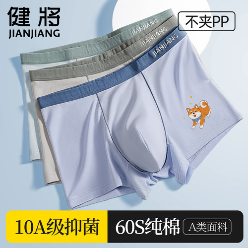 健将青少年发育期纯棉大童四角裤