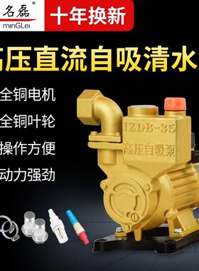名磊直流抽水机家用12v24v48v60v72v抽水泵水井便携式小型自吸泵X